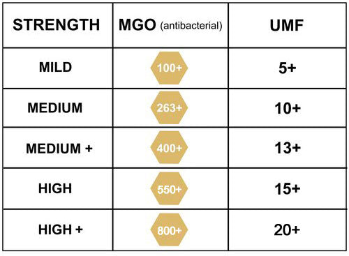 The Goodness of Manuka Honey: Nature's Golden Wonder – Endu1